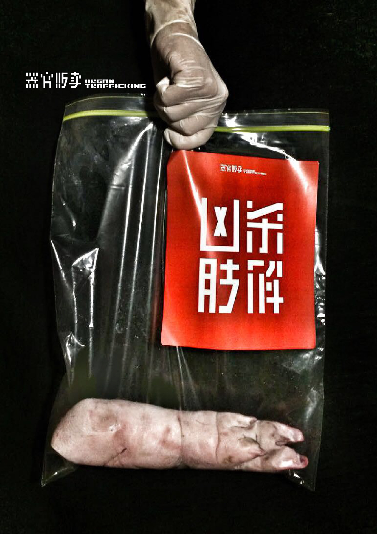 《器官贩卖》素食公益海报 - 原创作品 - 站酷(zcool)