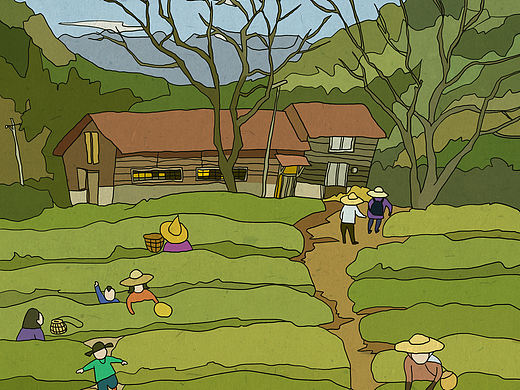 《话茶》系列—采茶、炒茶、喝茶