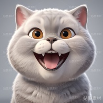 10大人气最高的宠物猫(导航-1235) - 未分类 - 站酷设计师明原创素材 - 站酷ZCOOL