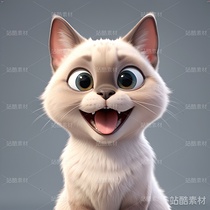 10大人气最高的宠物猫(导航-1236) - 未分类 - 站酷设计师明原创素材 - 站酷ZCOOL