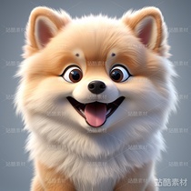 十大女性最爱的宠物狗(导航-1260) - 未分类 - 站酷设计师明原创素材 - 站酷ZCOOL