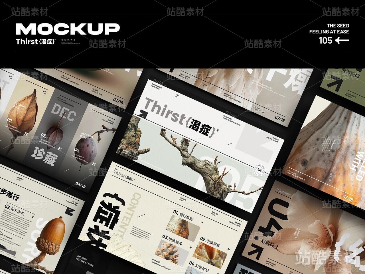 【渴症】心安的种子