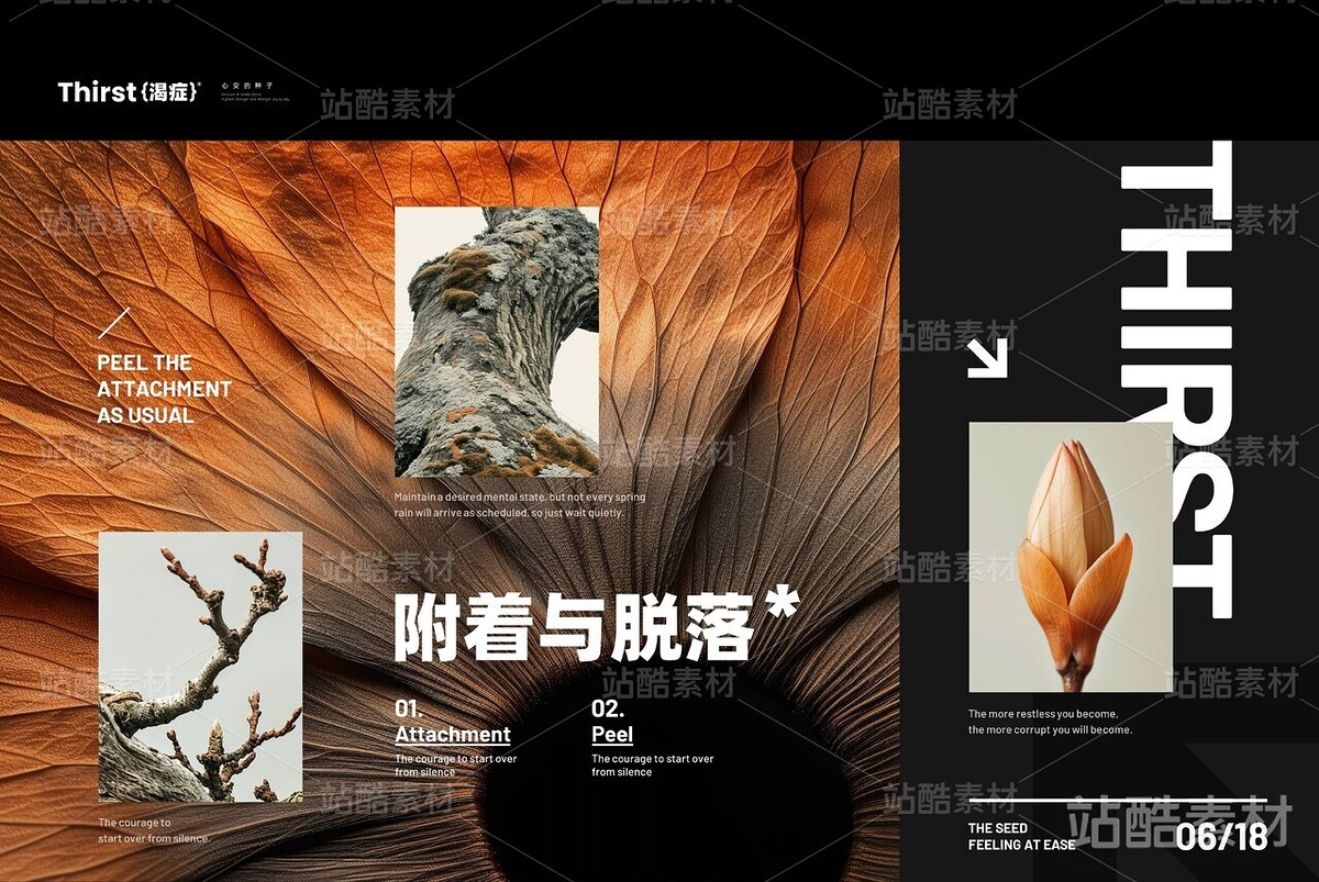 【渴癥】心安的種子（主預覽-1297） - 未分類 - 站酷設計師涼了藥原創(chuàng)素材 - 站酷ZCOOL