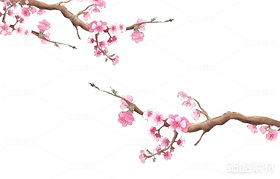 水彩手绘桃花插图（导航-3223） - 未分类 - 站酷设计师金垒山人原创素材 - 站酷ZCOOL