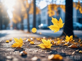 12张秋天落叶高清图片(免费)(导航-3763) - 未分类 - 站酷设计师明原创素材 - 站酷ZCOOL
