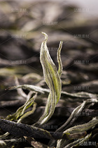 普洱散茶（导航-4711） - 未分类 - 站酷设计师伍洲原创素材 - 站酷ZCOOL