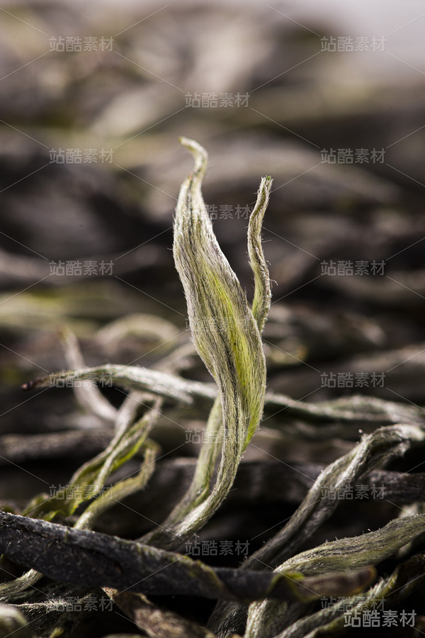普洱散茶（主预览-4711） - 未分类 - 站酷设计师伍洲原创素材 - 站酷ZCOOL