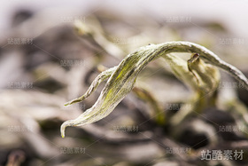 普洱散茶（导航-4713） - 未分类 - 站酷设计师伍洲原创素材 - 站酷ZCOOL