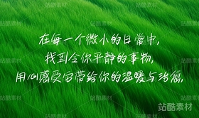 白路彤彤手写体 免费商用（导航-7890） - 未分类 - 站酷设计师安路设计原创素材 - 站酷ZCOOL