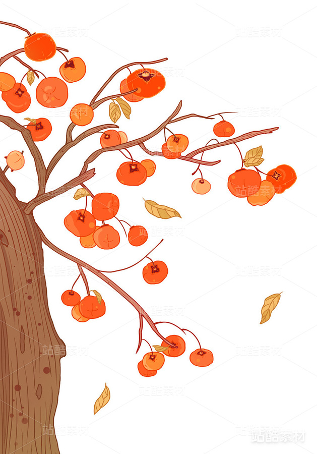 柿子樹（主預(yù)覽-8934） - 未分類 - 站酷設(shè)計(jì)師是我哎呀原創(chuàng)素材 - 站酷ZCOOL
