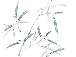 国色芳华