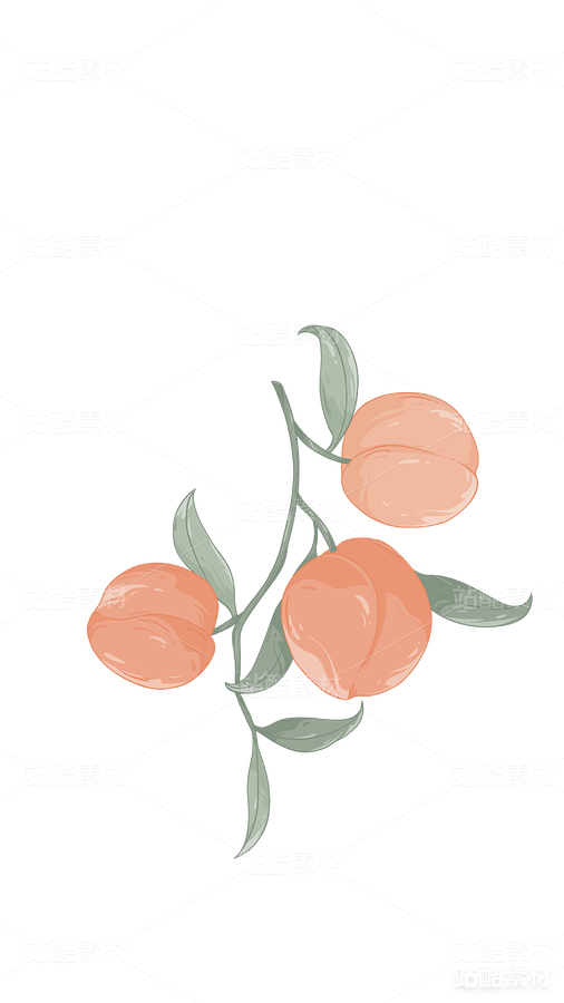 原創(chuàng)國風(fēng)手繪植物水果素材桃水蜜桃（主預(yù)覽-9846） - 未分類 - 站酷設(shè)計師畫畫的靜思語原創(chuàng)素材 - 站酷ZCOOL