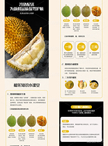 金枕榴莲详情页设计（导航-17503） - 未分类 - 站酷设计师任漠涵原创素材 - 站酷ZCOOL