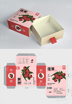 蓮霧版畫包裝設(shè)計(jì)（導(dǎo)航-17516） - 未分類 - 站酷設(shè)計(jì)師瑟琳娜Selina原創(chuàng)素材 - 站酷ZCOOL