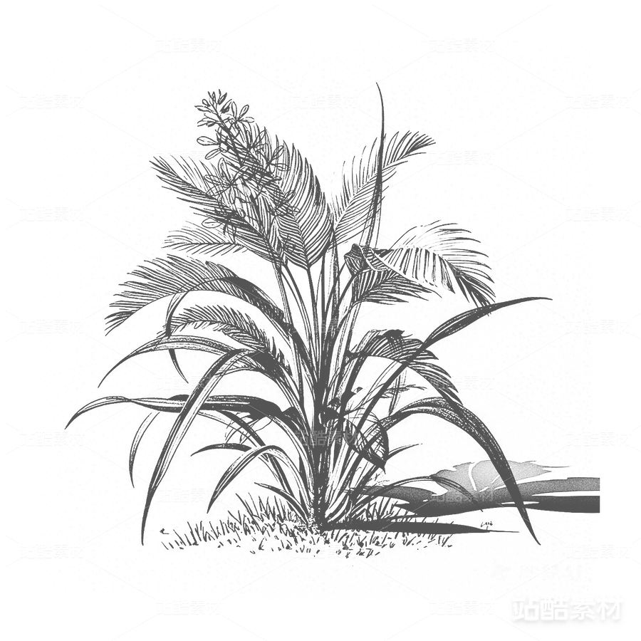 植物素描 | 手繪花卉植物插畫素材（主預(yù)覽-19692） - 未分類 - 站酷設(shè)計(jì)師心夢(mèng)創(chuàng)意原創(chuàng)素材 - 站酷ZCOOL