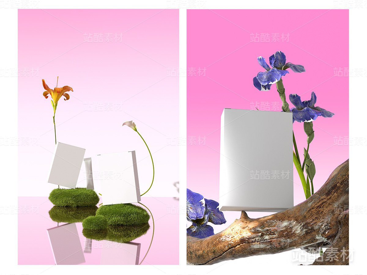 产品渲染-盒子花草树木渲染