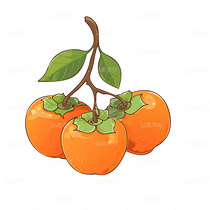 柿子矢量图可编辑（导航-28870） - 未分类 - 站酷设计师叮当幻想原创素材 - 站酷ZCOOL