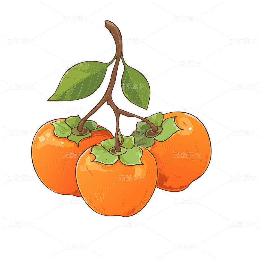 柿子矢量图可编辑（主预览-28870） - 未分类 - 站酷设计师叮当幻想原创素材 - 站酷ZCOOL