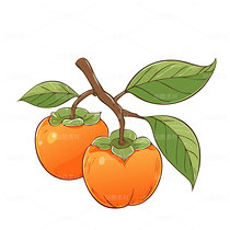 柿子矢量图可编辑（导航-28871） - 未分类 - 站酷设计师叮当幻想原创素材 - 站酷ZCOOL