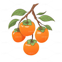 柿子矢量图可编辑（导航-28873） - 未分类 - 站酷设计师叮当幻想原创素材 - 站酷ZCOOL