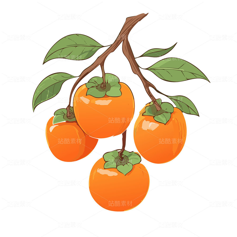柿子矢量图可编辑（主预览-28873） - 未分类 - 站酷设计师叮当幻想原创素材 - 站酷ZCOOL