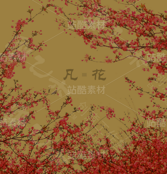 城阙凡花