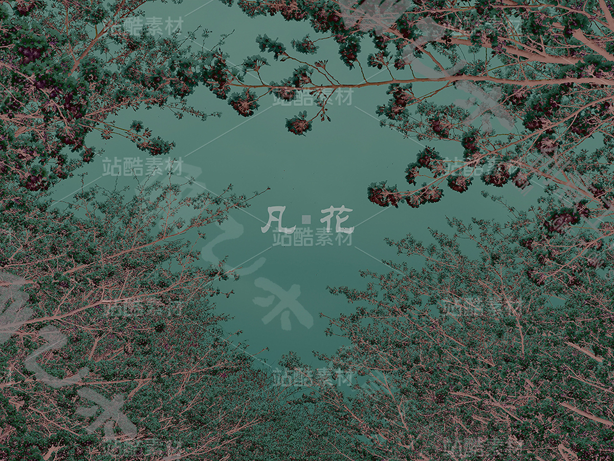 城阙凡花（主预览-31234） - 未分类 - 站酷设计师乙木凡花原创素材 - 站酷ZCOOL