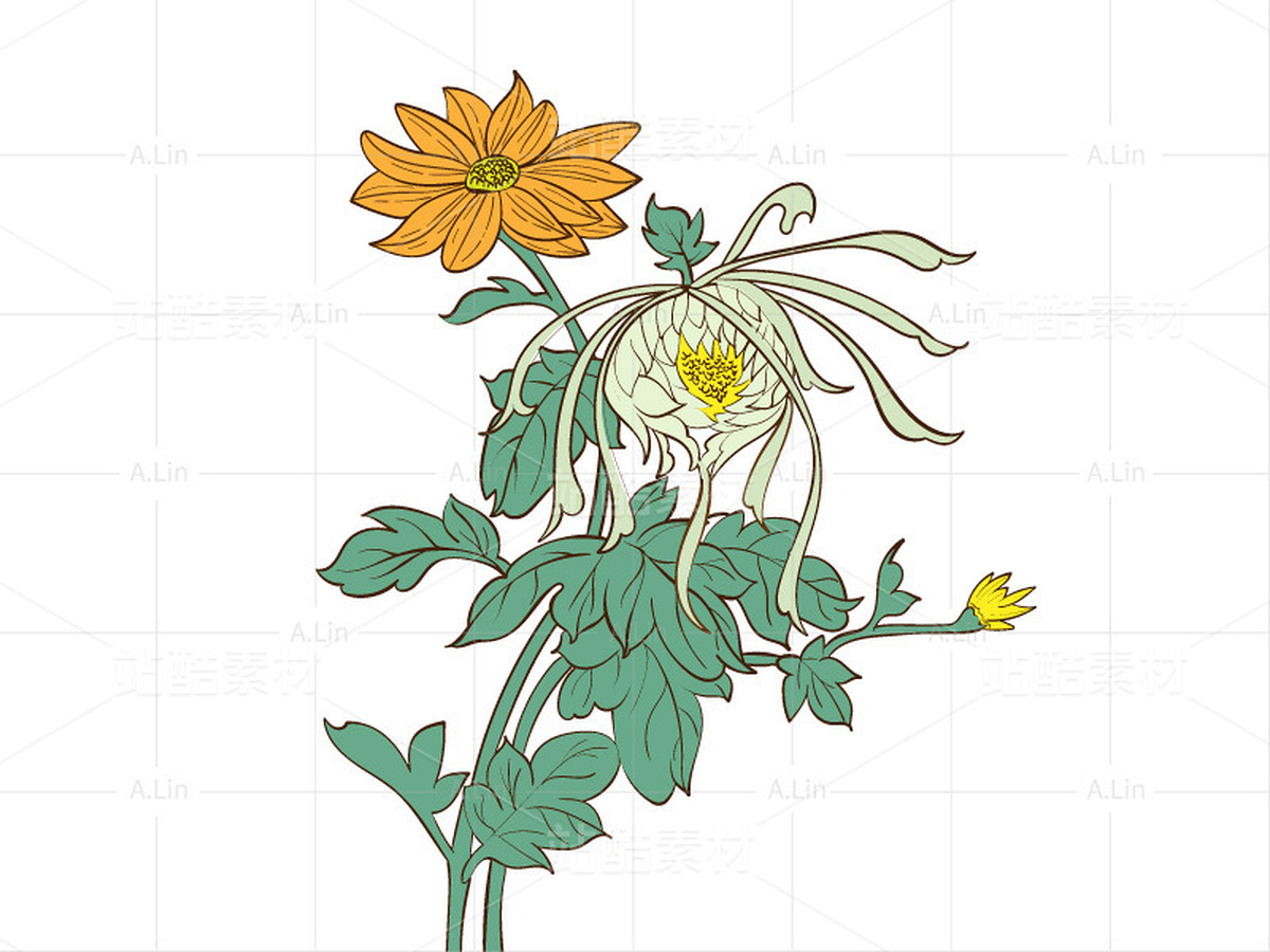 菊花 金盏花 传统手绘矢量线稿（主预览-35003） - 未分类 - 站酷设计师A_霖原创素材 - 站酷ZCOOL