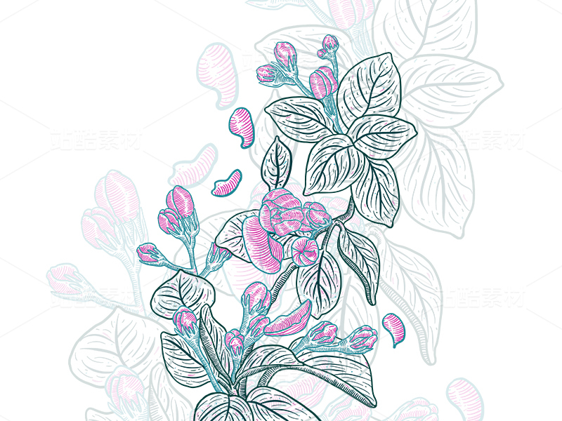 茉莉花包装素材