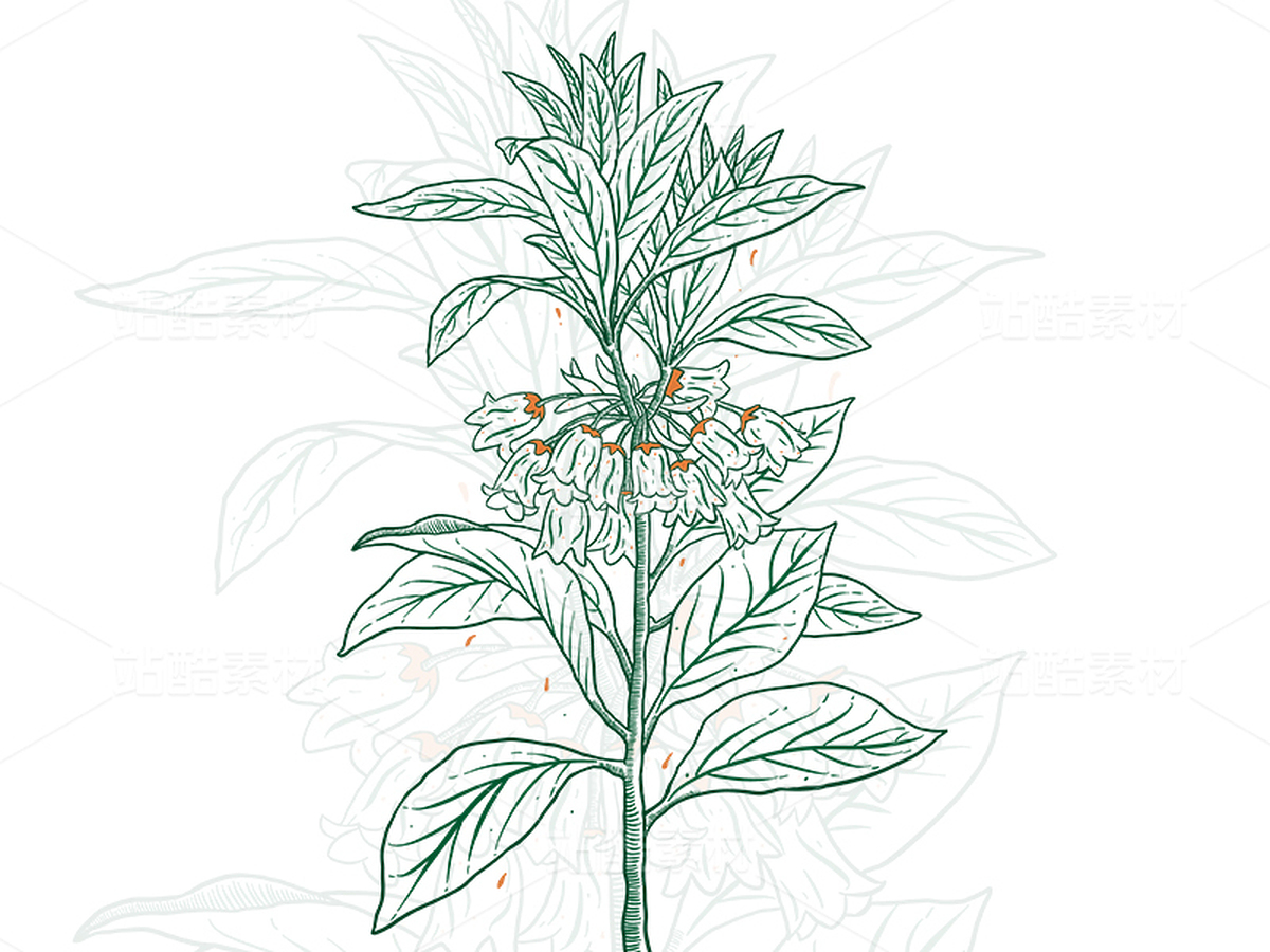 花的包装装饰版画（主预览-40956） - 未分类 - 站酷设计师千桃岁岁原创素材 - 站酷ZCOOL