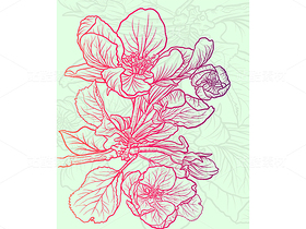 蘋果花插畫素材（導(dǎo)航-48994） - 未分類 - 站酷設(shè)計(jì)師千桃歲歲原創(chuàng)素材 - 站酷ZCOOL