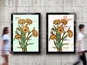 金盞菊素材（導(dǎo)航-60903） - 未分類 - 站酷設(shè)計師千桃歲歲原創(chuàng)素材 - 站酷ZCOOL