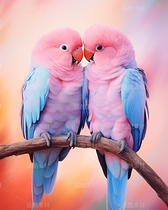 彩色小鳥(niǎo)鸚鵡照片插畫恩愛(ài)中國(guó)風(fēng)（導(dǎo)航-62259） - 未分類 - 站酷設(shè)計(jì)師AIGC微微原創(chuàng)素材 - 站酷ZCOOL