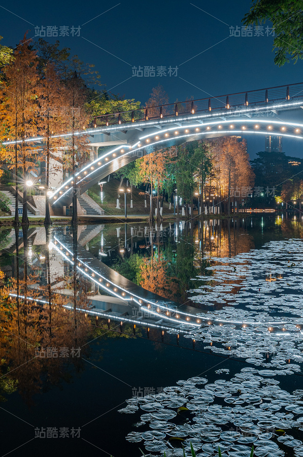 佛山千燈湖公園湖邊落羽杉水杉樹林紅葉秋景夜景燈光 (19)（主預(yù)覽-98548） - 未分類 - 站酷設(shè)計師HQC的視界觀原創(chuàng)素材 - 站酷ZCOOL