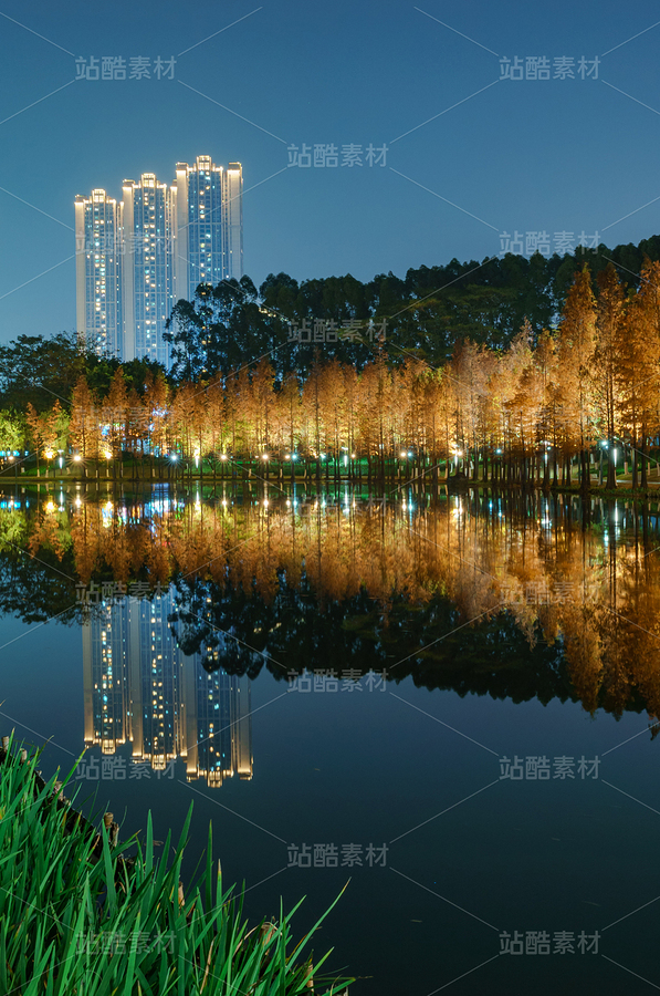 佛山千燈湖公園湖邊落羽杉水杉樹林紅葉秋景夜景燈光 (25)（主預(yù)覽-98553） - 未分類 - 站酷設(shè)計師HQC的視界觀原創(chuàng)素材 - 站酷ZCOOL