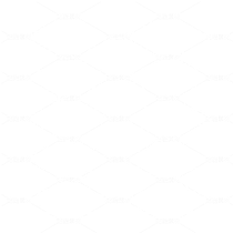 花鳥 剪紙004（導航-108359） - 未分類 - 站酷設計師一桶咸魚原創(chuàng)素材 - 站酷ZCOOL