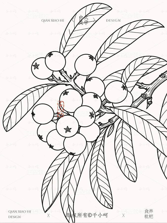 中药材系列丨国风手绘中草药枇杷(主预览-117913) - 未分类 - 站酷设计师千小呵原创素材 - 站酷ZCOOL