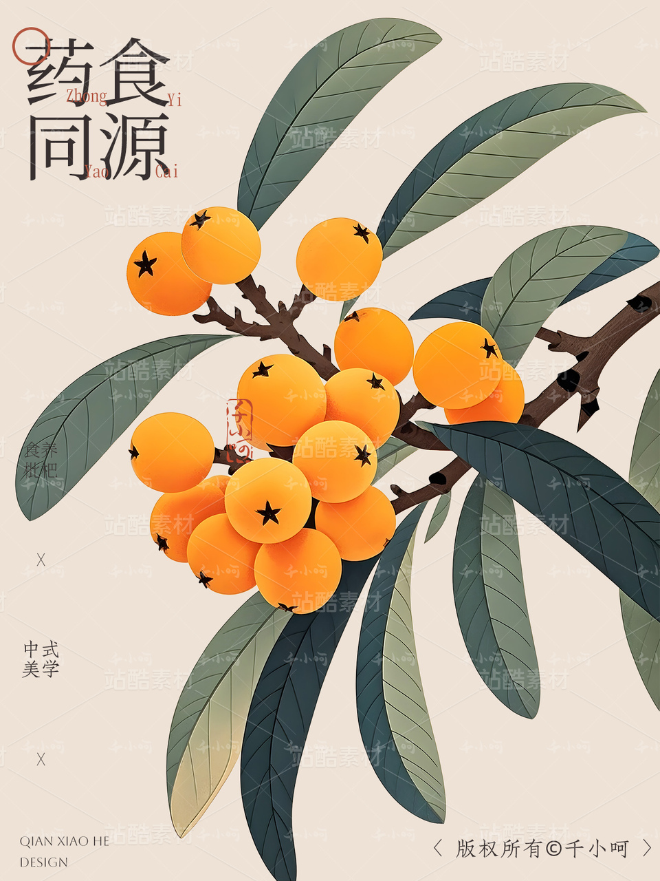 中药材系列丨国风手绘中草药枇杷