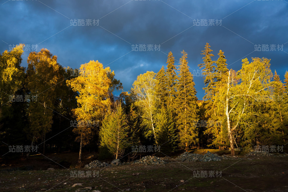 新疆阿勒泰喀納斯白哈巴村秋季風(fēng)光（主預(yù)覽-120607） - 未分類 - 站酷設(shè)計師陳喆風(fēng)光攝影原創(chuàng)素材 - 站酷ZCOOL