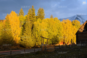 新疆阿勒泰喀納斯白哈巴村秋季風(fēng)光（導(dǎo)航-120611） - 未分類 - 站酷設(shè)計師陳喆風(fēng)光攝影原創(chuàng)素材 - 站酷ZCOOL