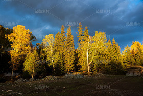 新疆阿勒泰喀納斯白哈巴村秋季風(fēng)光（導(dǎo)航-120608） - 未分類 - 站酷設(shè)計師陳喆風(fēng)光攝影原創(chuàng)素材 - 站酷ZCOOL