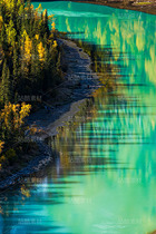 新疆阿勒泰喀纳斯月亮湾秋季风光（导航-120690） - 未分类 - 站酷设计师陈喆风光摄影原创素材 - 站酷ZCOOL