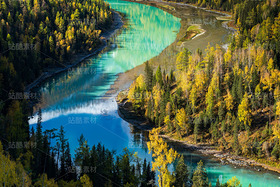 新疆阿勒泰喀纳斯月亮湾秋季风光（导航-120685） - 未分类 - 站酷设计师陈喆风光摄影原创素材 - 站酷ZCOOL