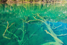 四川阿壩九寨溝秋季風(fēng)光（導(dǎo)航-120854） - 未分類 - 站酷設(shè)計師陳喆風(fēng)光攝影原創(chuàng)素材 - 站酷ZCOOL