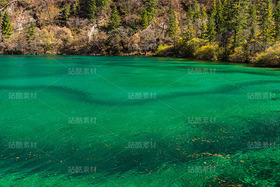 四川阿壩九寨溝秋季風(fēng)光（導(dǎo)航-121088） - 未分類 - 站酷設(shè)計(jì)師陳喆風(fēng)光攝影原創(chuàng)素材 - 站酷ZCOOL