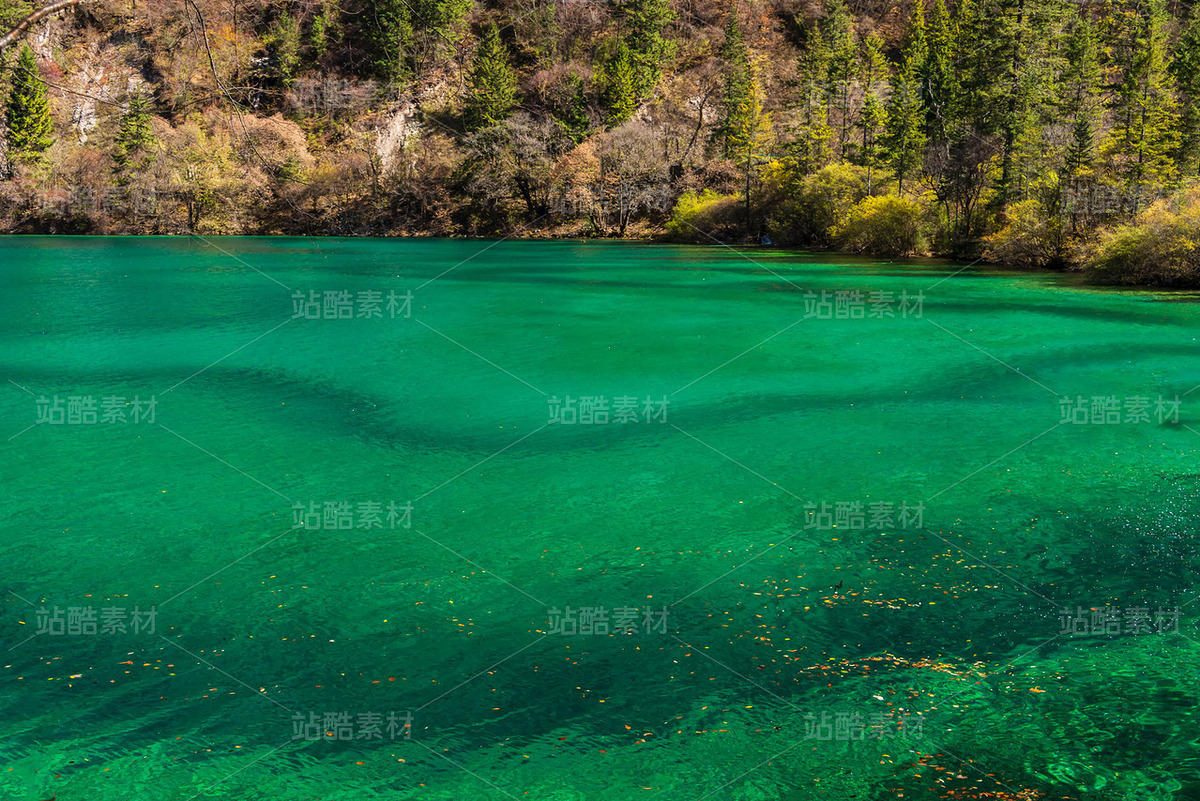 四川阿壩九寨溝秋季風(fēng)光（主預(yù)覽-121088） - 未分類 - 站酷設(shè)計(jì)師陳喆風(fēng)光攝影原創(chuàng)素材 - 站酷ZCOOL