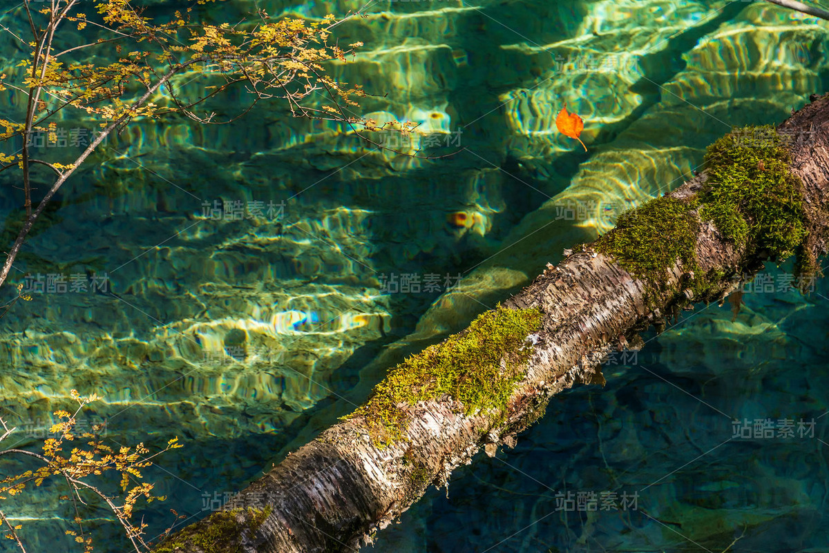 四川阿壩九寨溝秋季風(fēng)光（主預(yù)覽-121093） - 未分類 - 站酷設(shè)計(jì)師陳喆風(fēng)光攝影原創(chuàng)素材 - 站酷ZCOOL