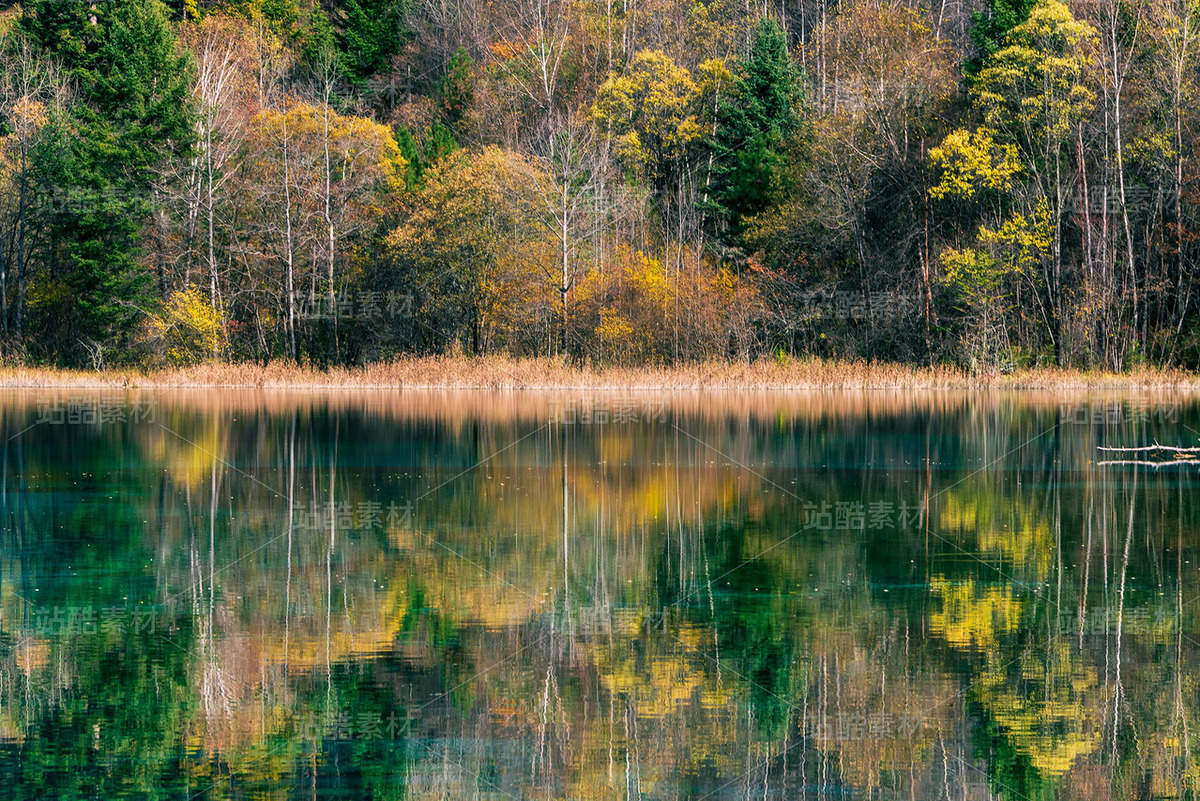 四川阿壩九寨溝秋季風(fēng)光（主預(yù)覽-121097） - 未分類 - 站酷設(shè)計師陳喆風(fēng)光攝影原創(chuàng)素材 - 站酷ZCOOL