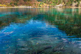 四川阿壩九寨溝秋季風(fēng)光（導(dǎo)航-121110） - 未分類 - 站酷設(shè)計師陳喆風(fēng)光攝影原創(chuàng)素材 - 站酷ZCOOL