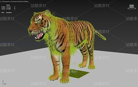 老虎、东北虎（导航-121646） - 未分类 - 站酷设计师Z192349568原创素材 - 站酷ZCOOL